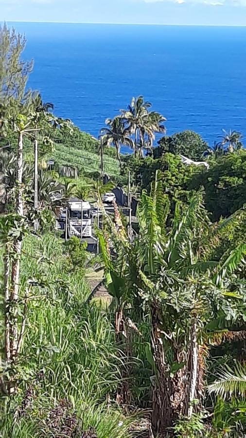 Chambre Vue Sur Mer Entre Grande Anse Et Manapany Petite-Ile Ngoại thất bức ảnh